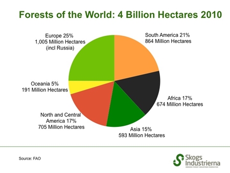 Forest Distribution of the World by Region 2013