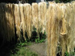 image of hemp fiber