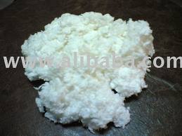 picture of alpha pulp