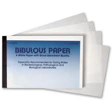 picture of bibulous paper