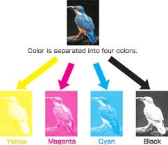 picture of four color printing